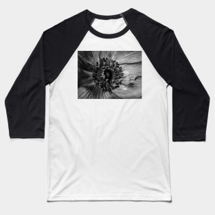 The Anemone in Black and white Baseball T-Shirt